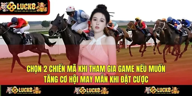 Chọn 2 chiến mã khi tham gia game nếu muốn tăng cơ hội may mắn khi đặt cược