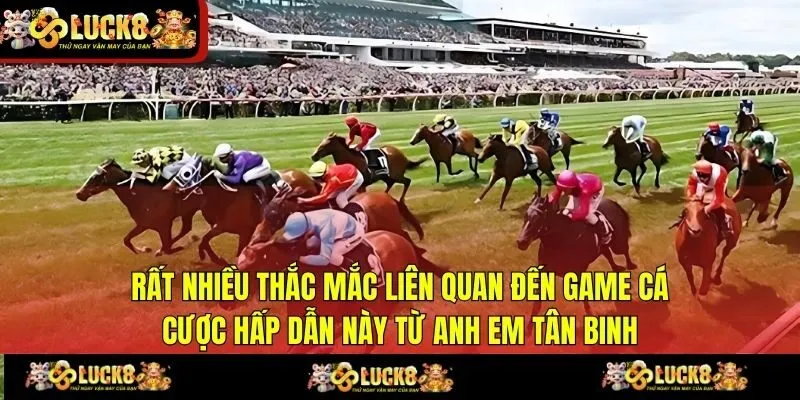 Rất nhiều thắc mắc liên quan đến game cá cược hấp dẫn này từ anh em tân binh