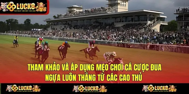 Tham khảo và áp dụng mẹo chơi cá cược đua ngựa luôn thắng từ các cao thủ 